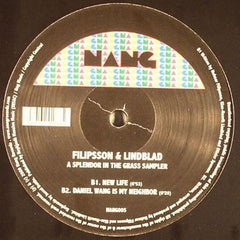 Holmar Filipsson & Klas Lindblad : A Splendor In The Grass Sampler (12", Smplr)
