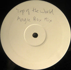Brandy (2) : Top Of The World (Magic Box Mix) (12", S/Sided, Unofficial, W/Lbl)