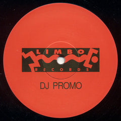 Fix (3) : In Gods House (12", Promo)