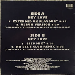 Mr. Lee / R. Kelly : Hey Love (12")