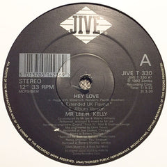 Mr. Lee / R. Kelly : Hey Love (12")