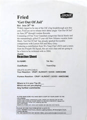 Fried : When You Get Out Of Jail (12", Promo)
