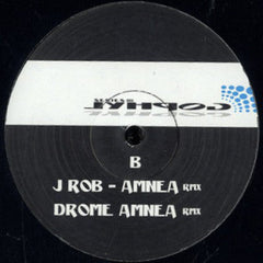 Dani Giro : Amnea (12")