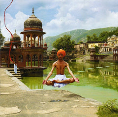 Shpongle : Ineffable Mysteries From Shpongleland (CD, Album, Mixed)