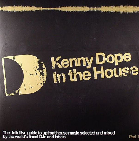 Kenny "Dope" Gonzalez : In The House (Part 1) (2x12", Comp)