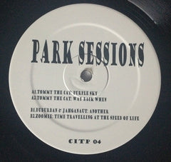 Various : Park Sessions 04 (12")