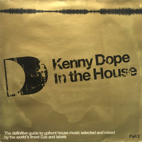Kenny "Dope" Gonzalez : In The House (Part 2) (2x12", Comp)