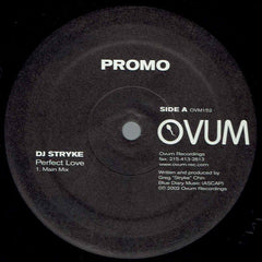 DJ Stryke* : Perfect Love (12", Promo)