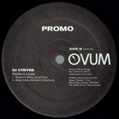 DJ Stryke* : Perfect Love (12", Promo)