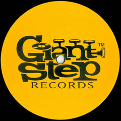 Seek : The Story Of Us (12")