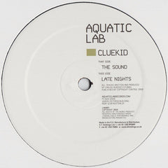 Cluekid : The Sound (12")
