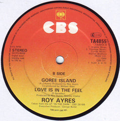 Roy Ayers : In The Dark (12", Single)