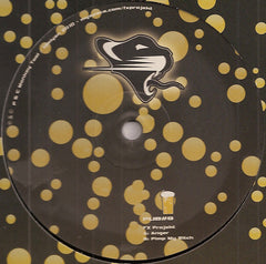 The FX Projekt : Anger / Pimp My Bitch (10")