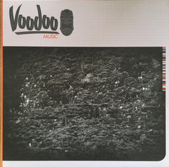 Raiden : Baptism Of Fire / Danzon (12")