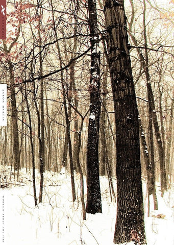Aaron Martin (2) : Worried About The Fire (CD, Album, Ltd)