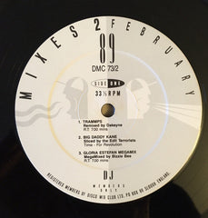 Various : February 89 - Mixes 2 (12", P/Mixed)