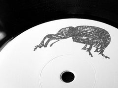 Unknown Artist : Adult (12", Ltd, Num)