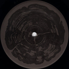 Mike Dehnert : The Many Roots (12")