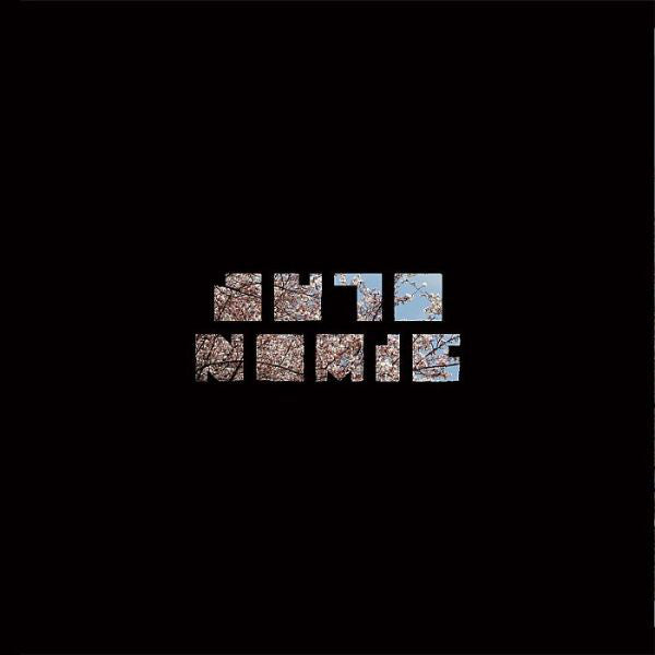 Riya (2) : Seems Like / The Cycle (12")