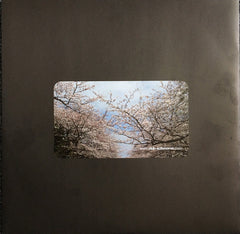 Riya (2) : Seems Like / The Cycle (12")