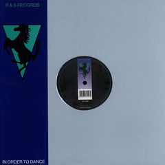 Space Dimension Controller : Temporary Thrillz (2x12")