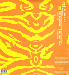 York : The Awakening (12", Single)