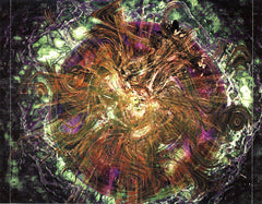 Shpongle : Are You Shpongled? (CD, Album, Mixed)