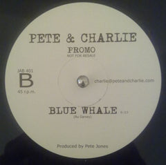 Pete & Charlie : Stupid Boy / Vixen / Blue Whale (12", Promo)