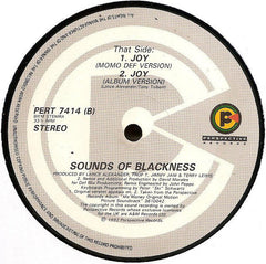 Sounds Of Blackness : Soul Holidays / Joy (12")