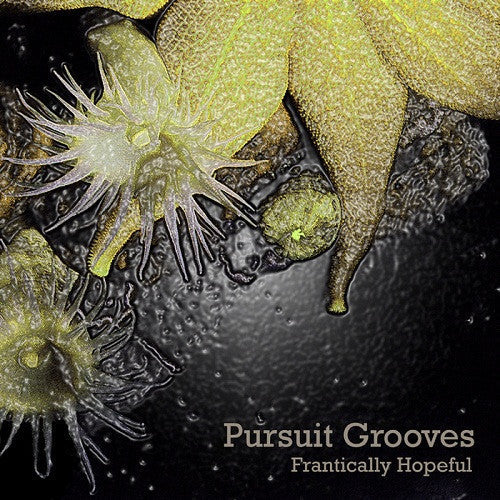 Pursuit Grooves : Frantically Hopeful (CD, Album)
