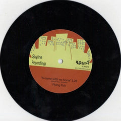Flying Fish : A Name With No Horse (7", 45 )