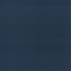 Maya Jane Coles : Humming Bird (12")