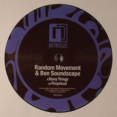 Random Movement & Ben Soundscape : Many Things / Perpetual (12")
