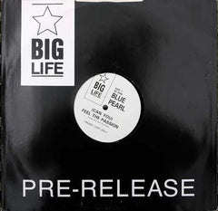 Blue Pearl : (Can You) Feel The Passion (12", S/Sided, Promo)