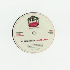 DJ Raw Sugar : Disco Land (12", Single)