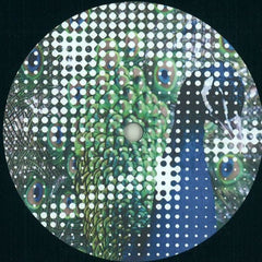 Martin Dawson and Glimpse : Wildlife (12")