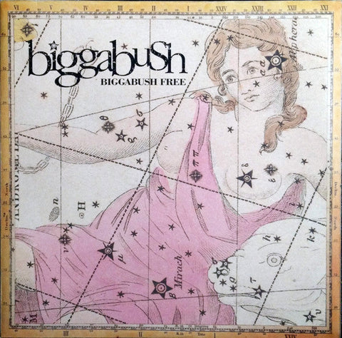 Bigga Bush : Bigga Bush Free (2xLP, Album)
