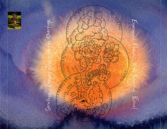 Shpongle : Tales Of The Inexpressible (CD, Album)