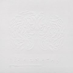 Various : BRAiNMATHs Vol 1 (CD, Comp)