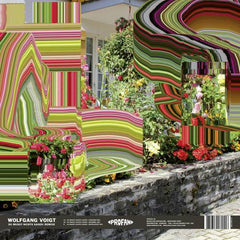 Wolfgang Voigt : Du Musst Nichts Sagen Remixe (12")