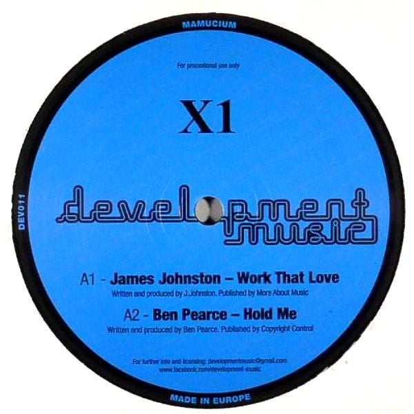 Various : Work That Love (12", Promo)