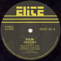 D.S.M.* : Destiny (12")