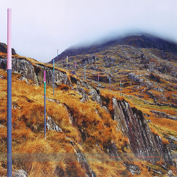 Section 25 : From The Hip (LP, Album, RE, RM + 12", Single, RE, RM)