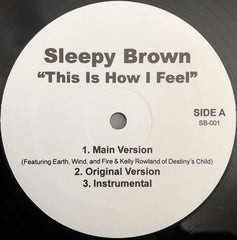 Sleepy Brown : This Is How I Feel/ Mr. No Good (12", Single)
