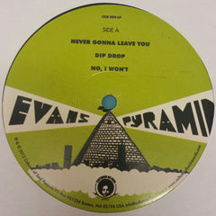Evans Pyramid : Evans Pyramid (LP, Comp, Ltd, Num, Gat)