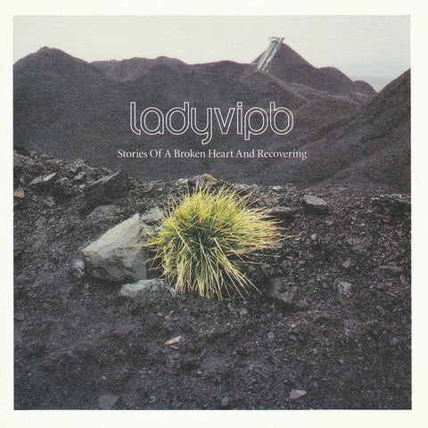 Ladyvipb : Stories Of A Broken Heart And Recovering (CD, Album)