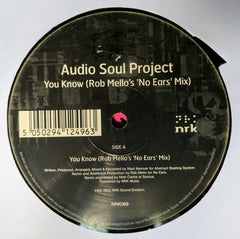 Audio Soul Project : You Know / Free Falling (12")