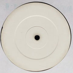 Joey Anderson (2) : Earth Calls (12", W/Lbl)