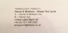Bill Hamel & Sam Mollison : Break The Cycle (12", Promo, W/Lbl)