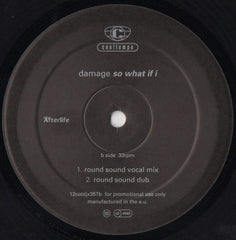 Damage : So What If I (12", Promo)